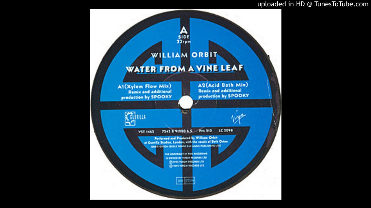 William Orbit - Water From A Vine Leaf [Xylem Flow Mix] (Spooky)