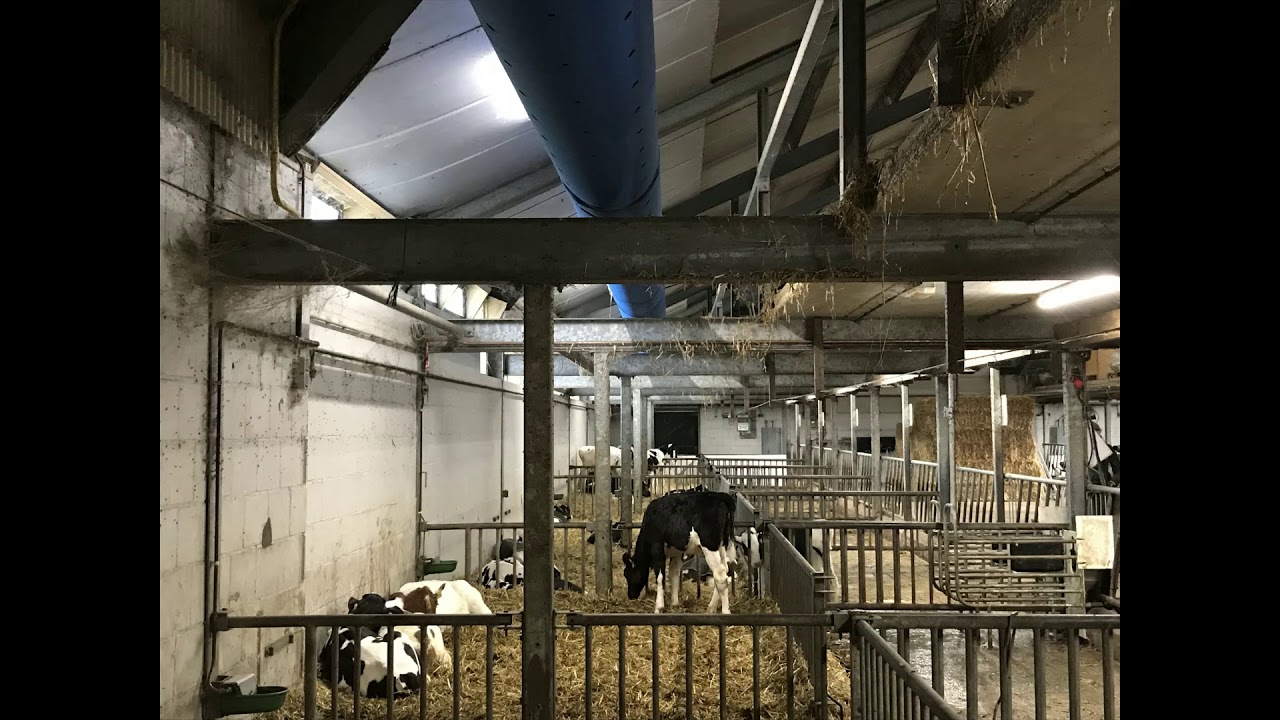 Abbi Aerotech Slangventilatie kalverstal