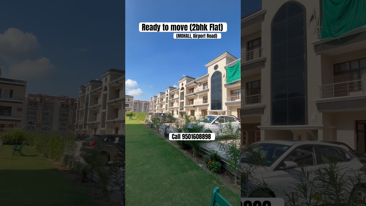 2bhk flat in Sec-117 Mohali. 50.90 lakh. Call 9501608898 #shorts #mohali #realestate
