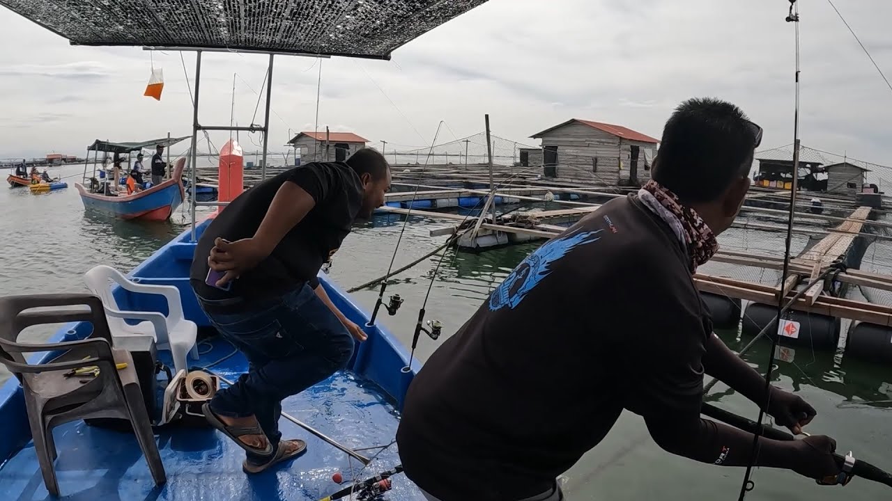 IKAN SANGAT LAPAR SAMPAI SEMUA PANCING DI TARIK IKAN BESAR