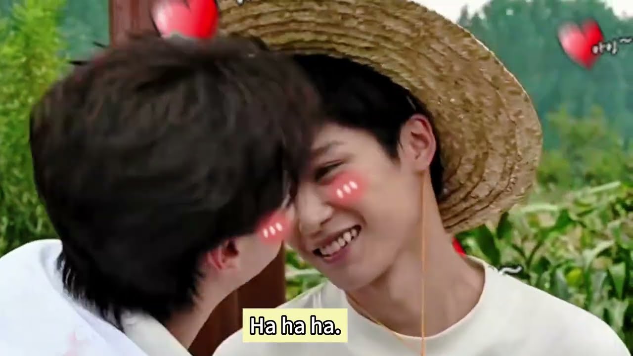 🔥2.0逆愛玉米地|高清二创花絮Cornfield | Secondary Creation #revengedlove  #逆愛 #梓渝 #ziyu  #tianxuning  #bts