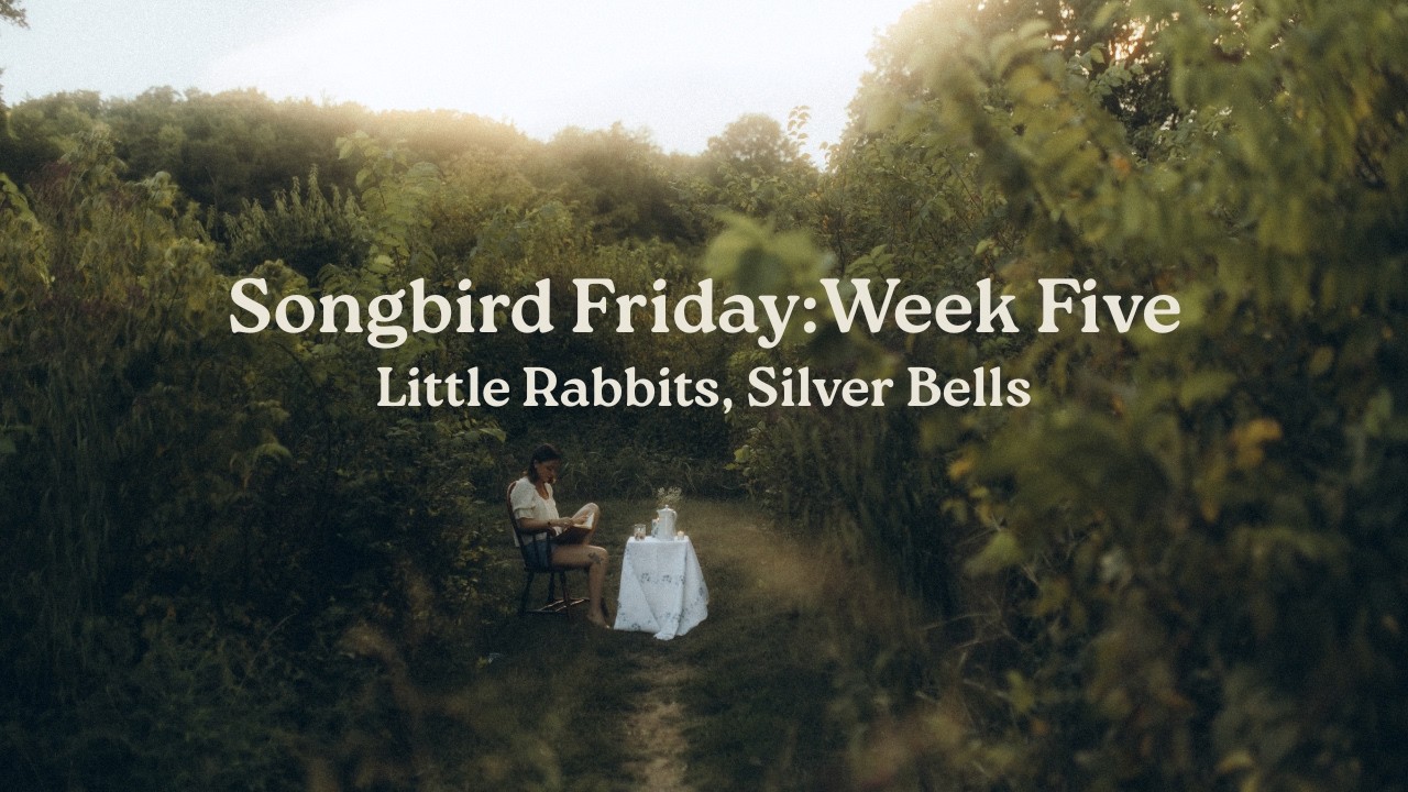 Songbird Friday:Week Five (Little Rabbits, Silver Bells)