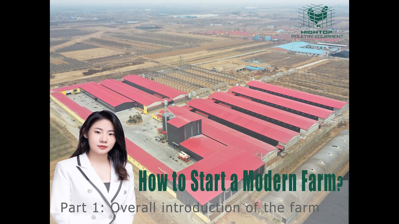 How to start a Modern Farm--Automatic layer equipment