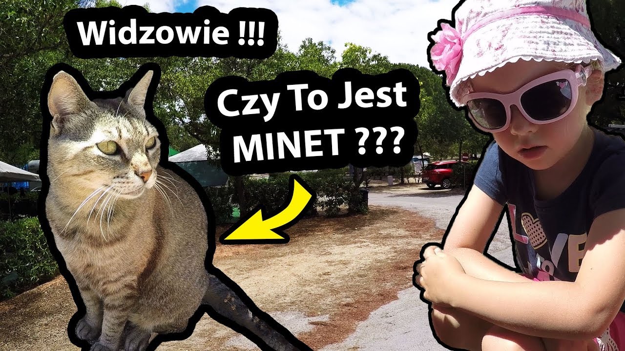 Czy to jest MINET ??? - Misja 