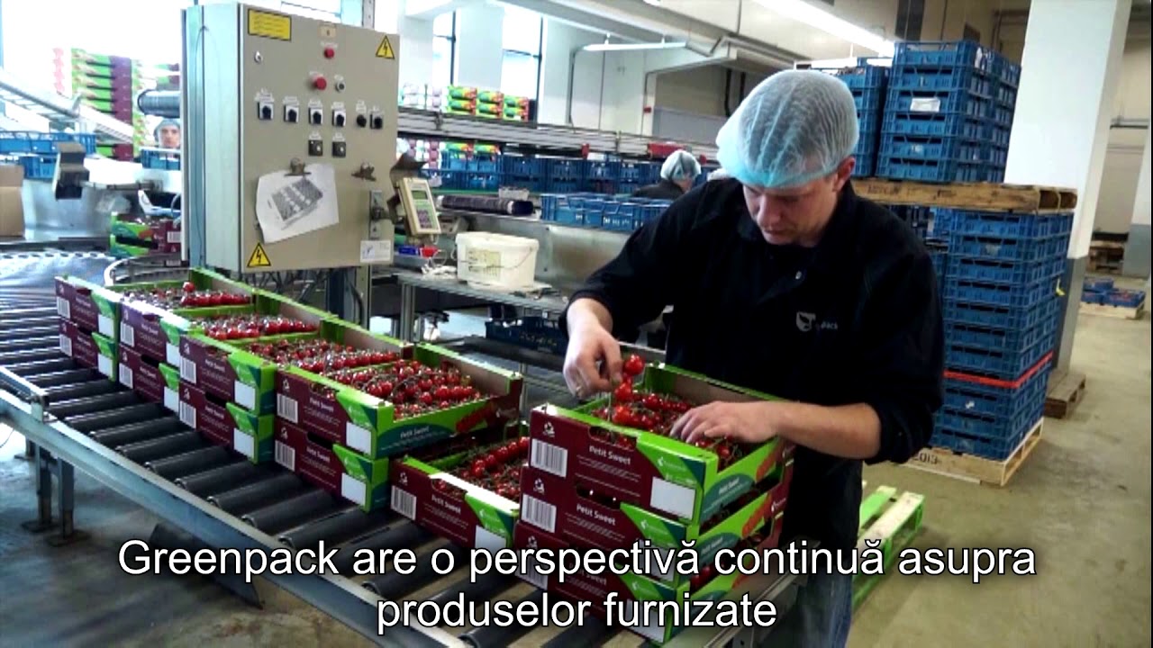 Video de companie