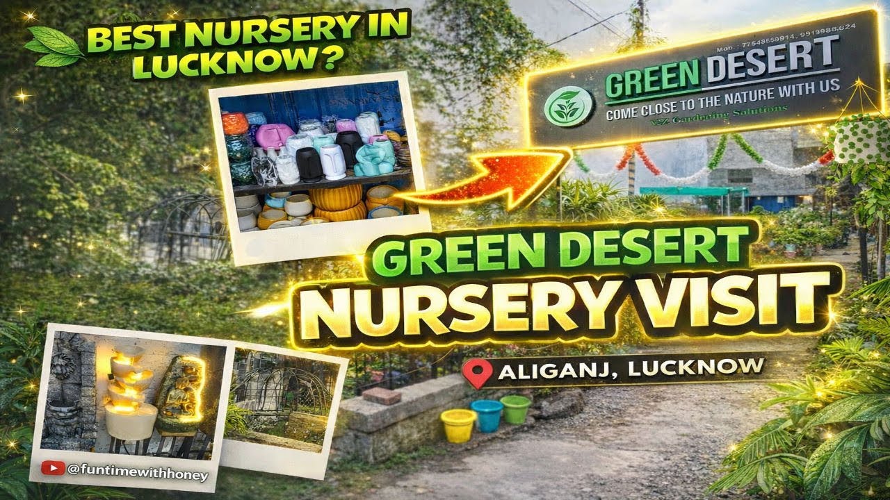 Green Desert Nursery Lucknow | Plants, Pots & Complete Gardening Solutions