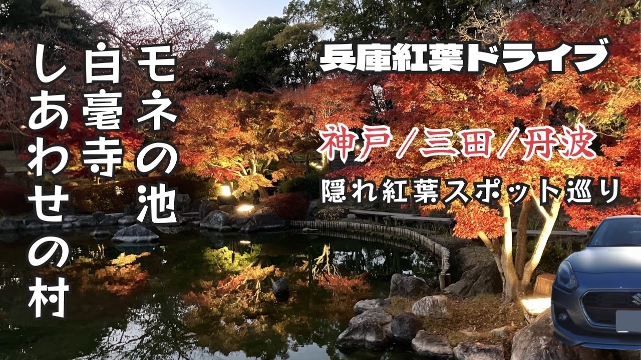 【兵庫🍁紅葉ドライブ】三田モネの池/丹波白毫寺/神戸しあわせの村 日本庭園ライトアップ/晩秋の紅葉巡り♡ Autumn leaves drive