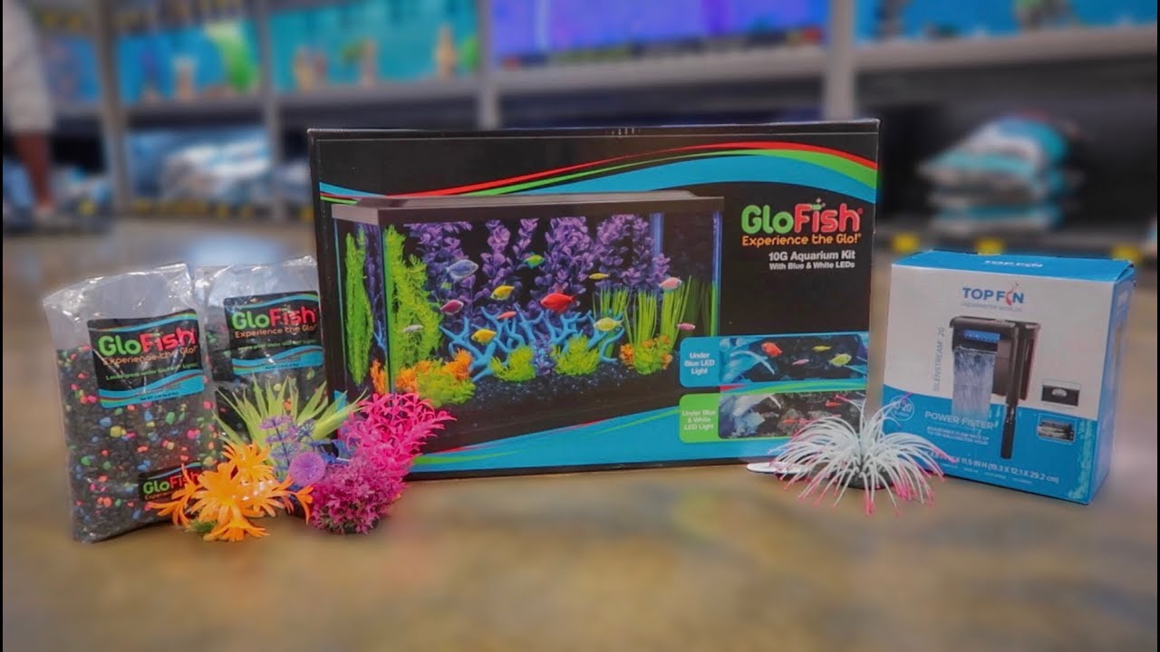 *NEW* GLO-FISH 10G AQUARIUM SETUP!!!