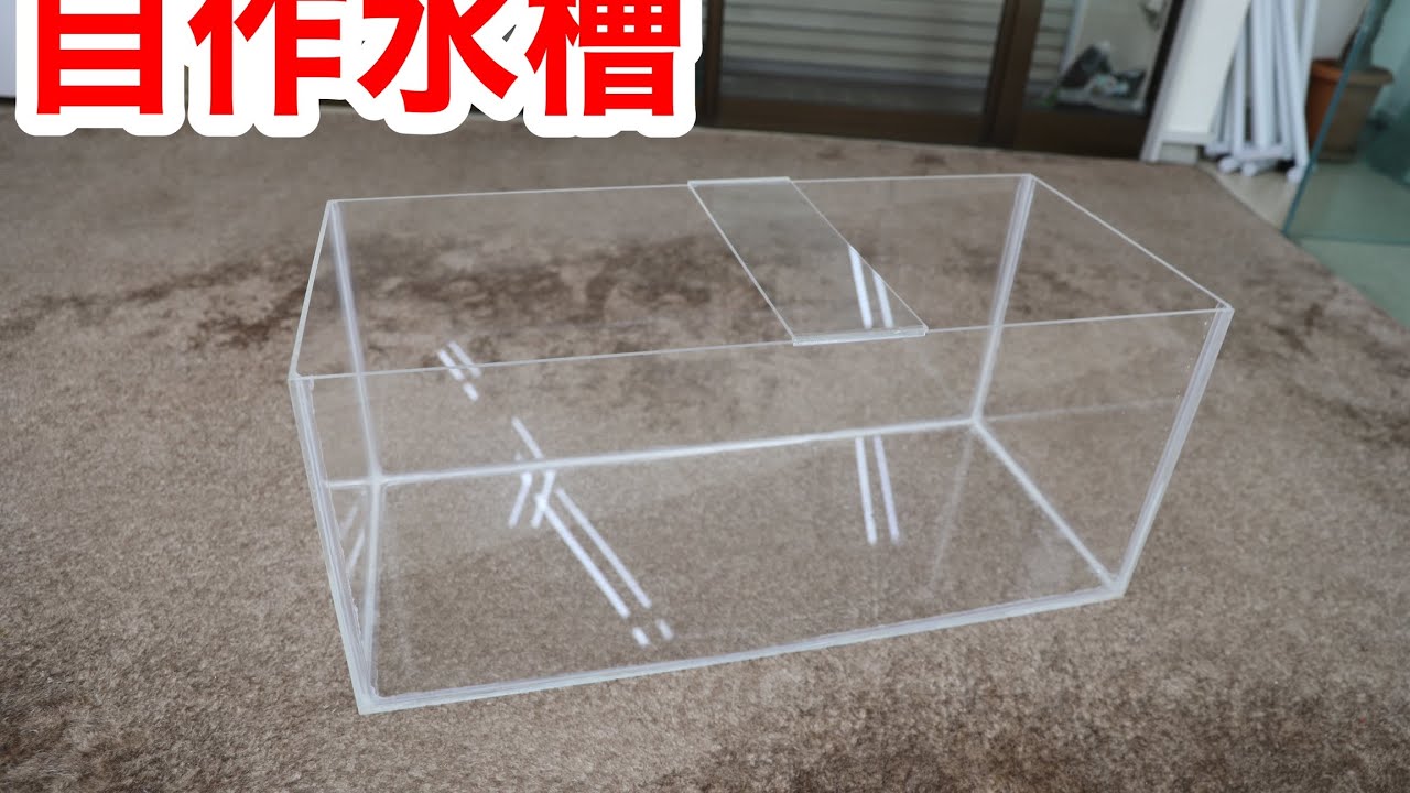 アクリル板を買ってきてオールクリアの水槽を自作してみました