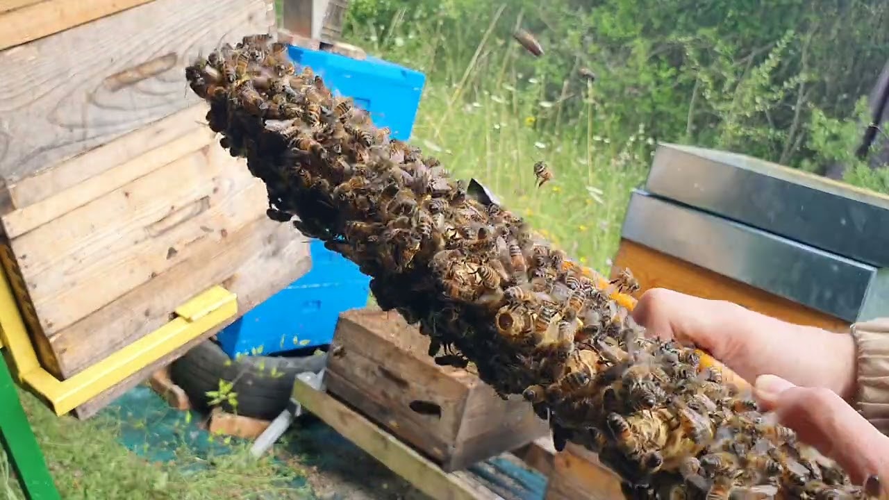 Cat de usor se transforma un STARTER deschis in FINISOR! 18 iulie 2023