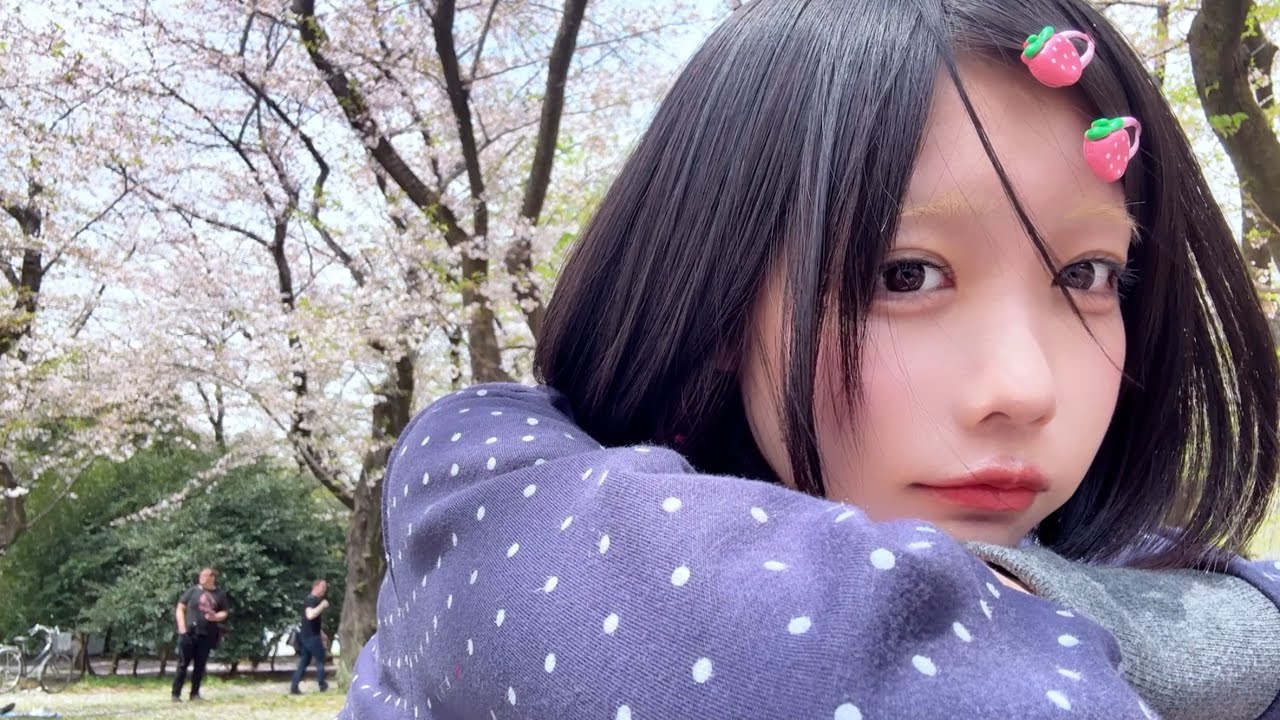 桜、今年も断らなかったんですね。