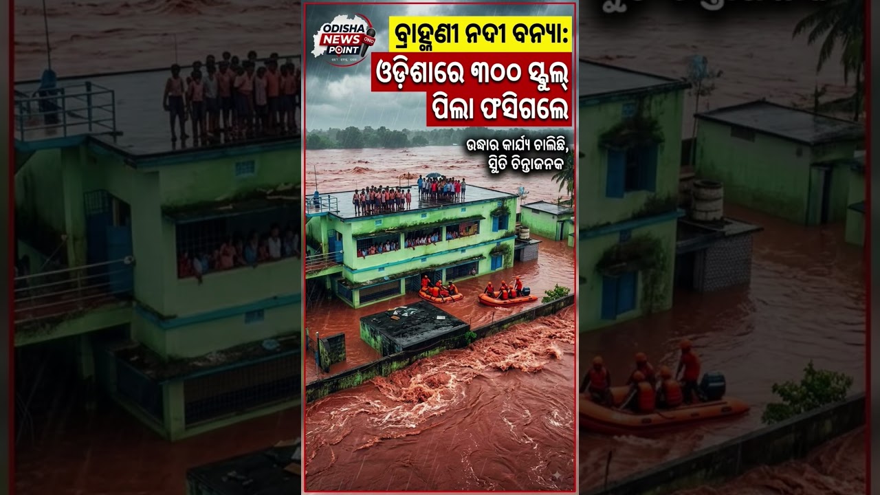Around 300 schoolchildren trapped in floodwaters in Odisha as Brahmani River swells