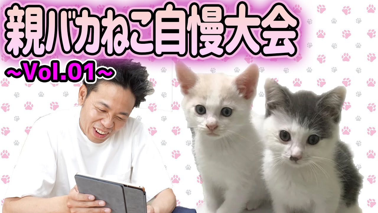 【ふうらい企画】池崎親バカ猫自慢大会〜Vol.01〜