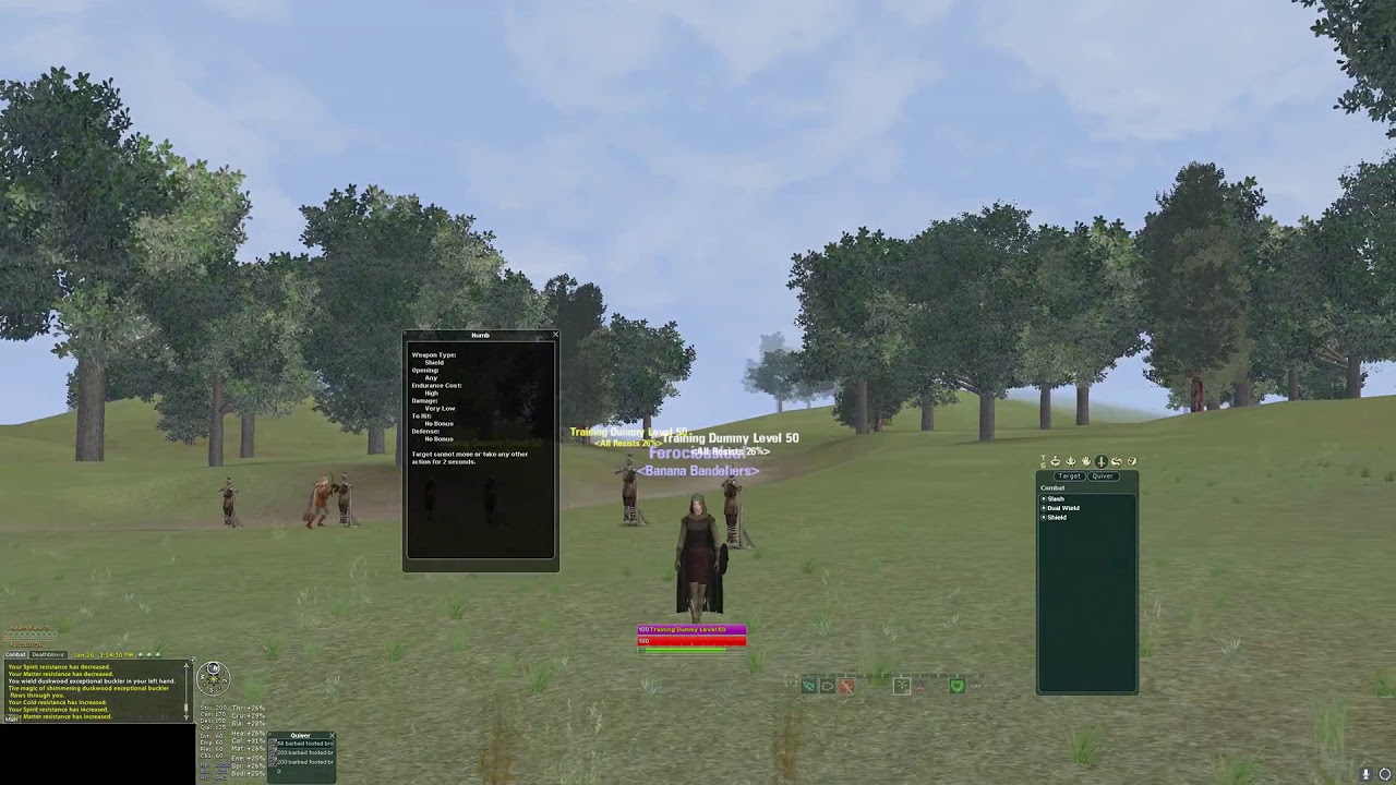 Mercenary Class Overview Phoenix