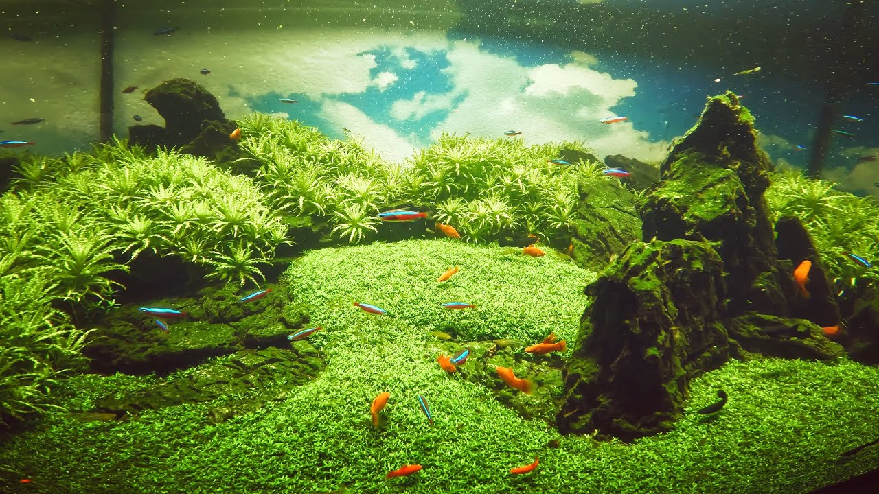 Trip to Malmö - Malmö Museum and Aquarium