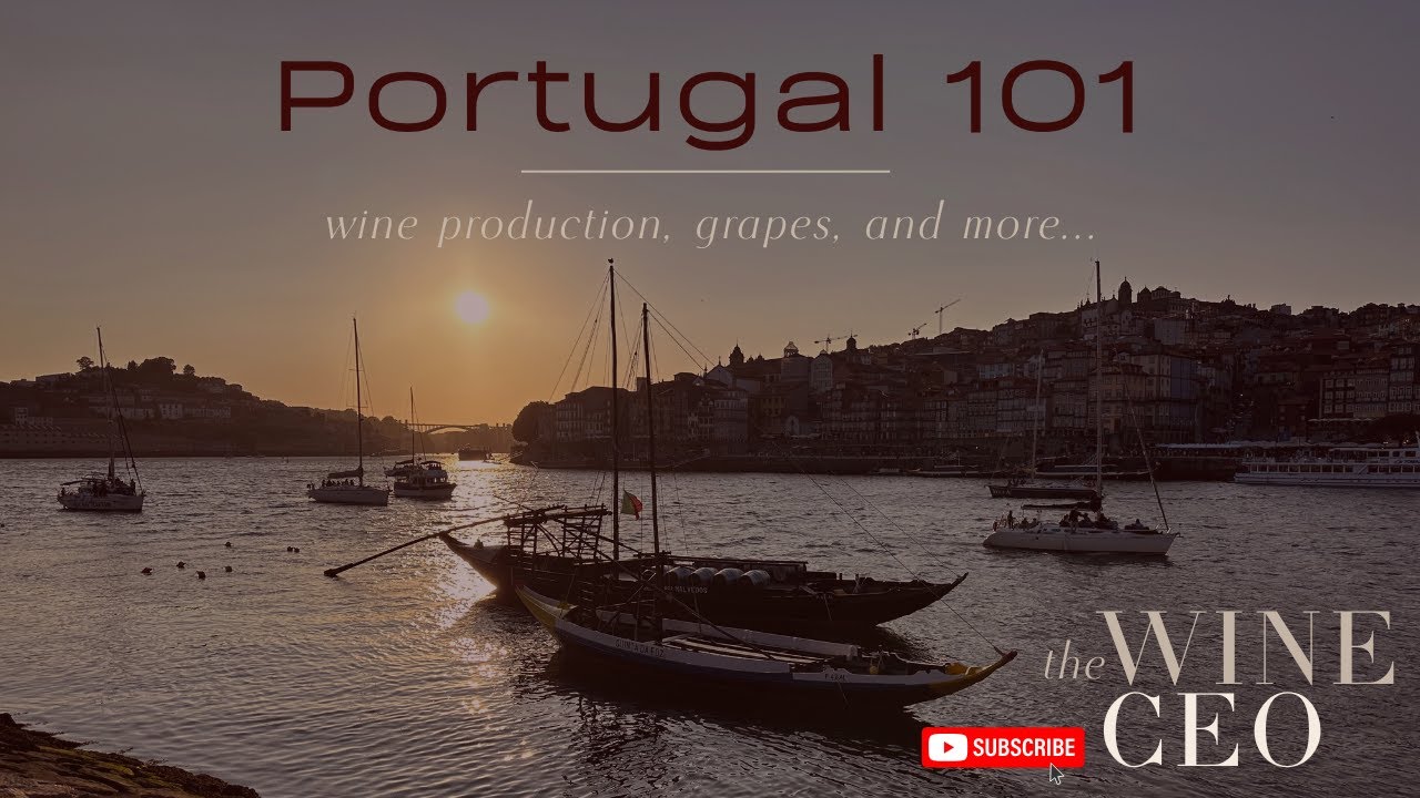 Portugal 101: A wine overview of regions, grapes, labels, and more!