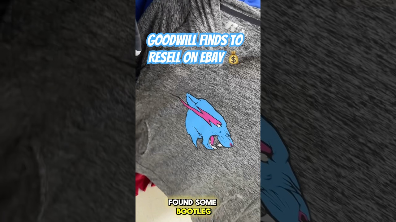 Mr Beast Merch Found in Goodwill 
