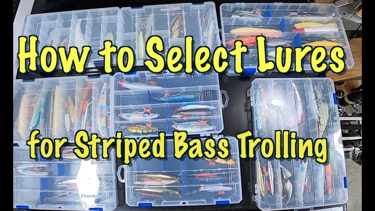 How to Choose Lures for Fall Striped Bass Light Tackle Trolling