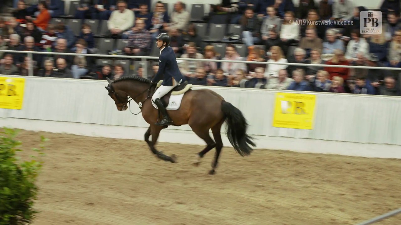 Dia Corrado und Alexander Bosier - 29. PB-Schau in Verden