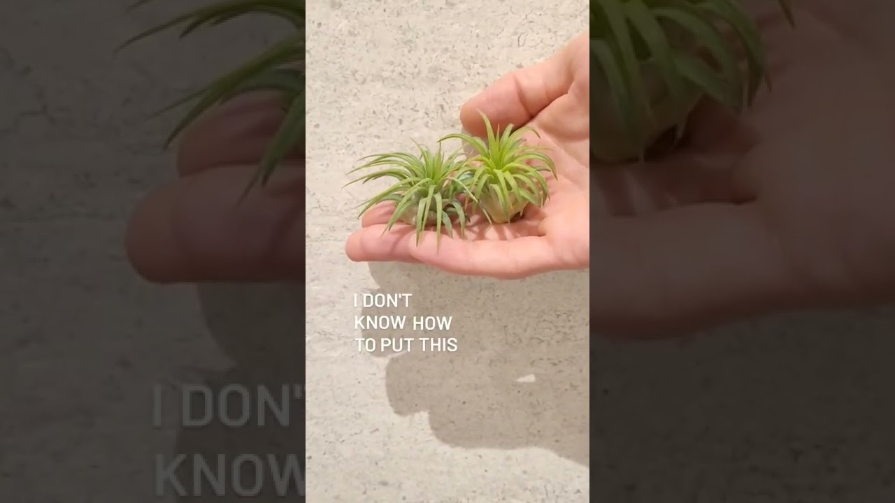 GLOWING PLANTS!?🤯