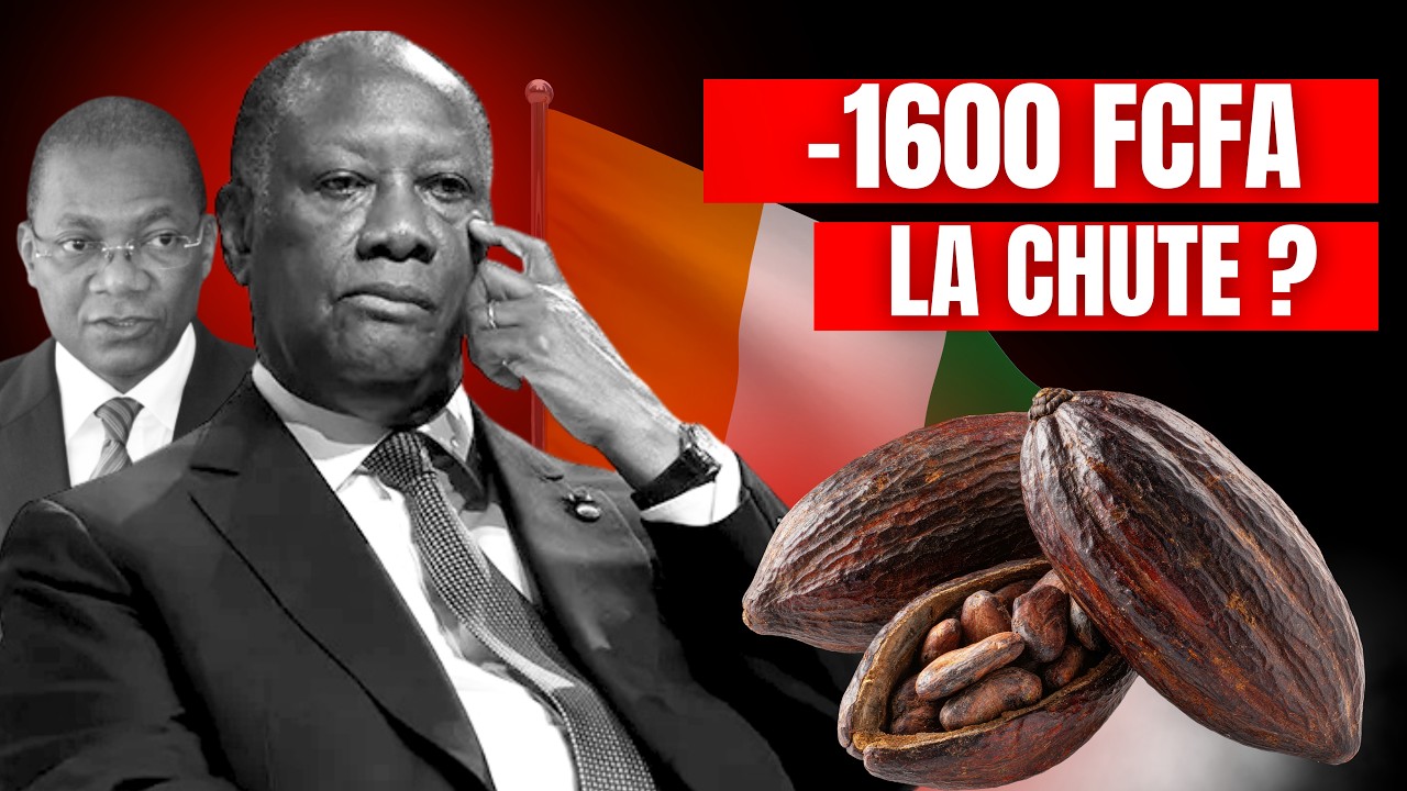2 800 FCFA le Kilo… Puis le Chaos : Ce qui s'est Passé au Cacao Ivoirien