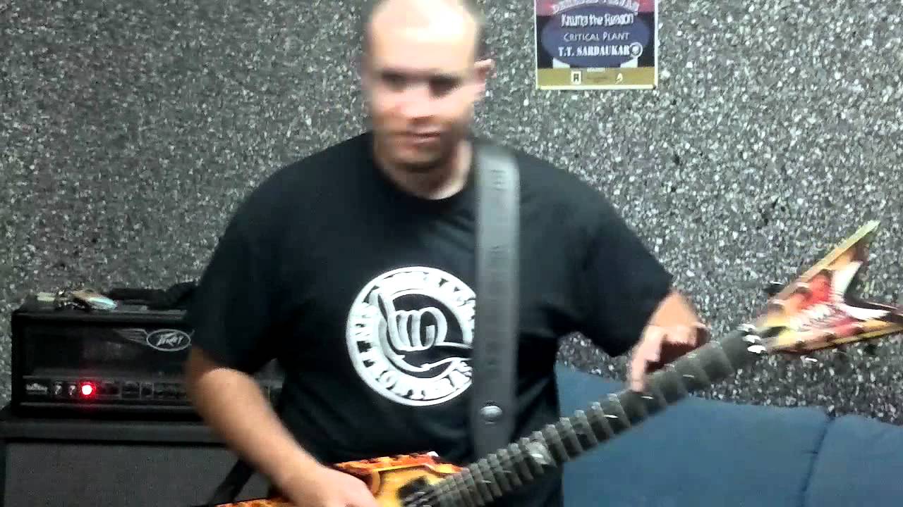Critical plant_Limitate_Cover HAMLET.mp4