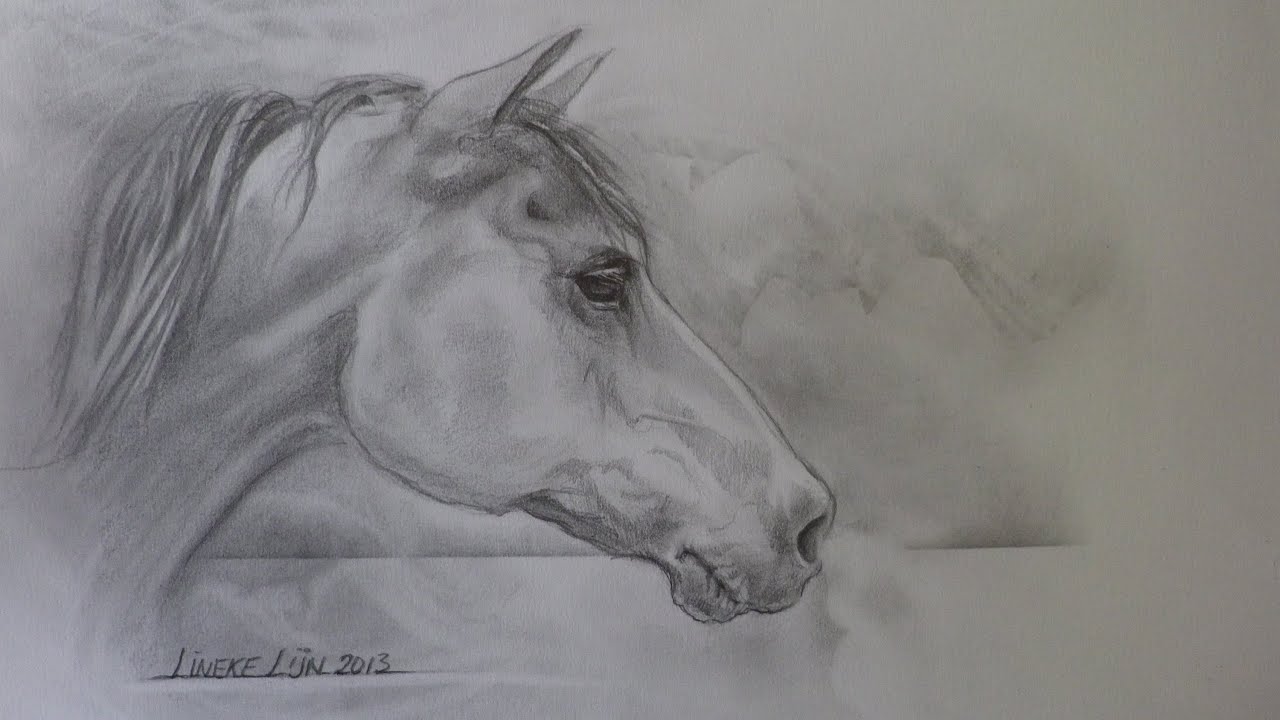 PAARDENHOOFD voor beginners grafiet tekening