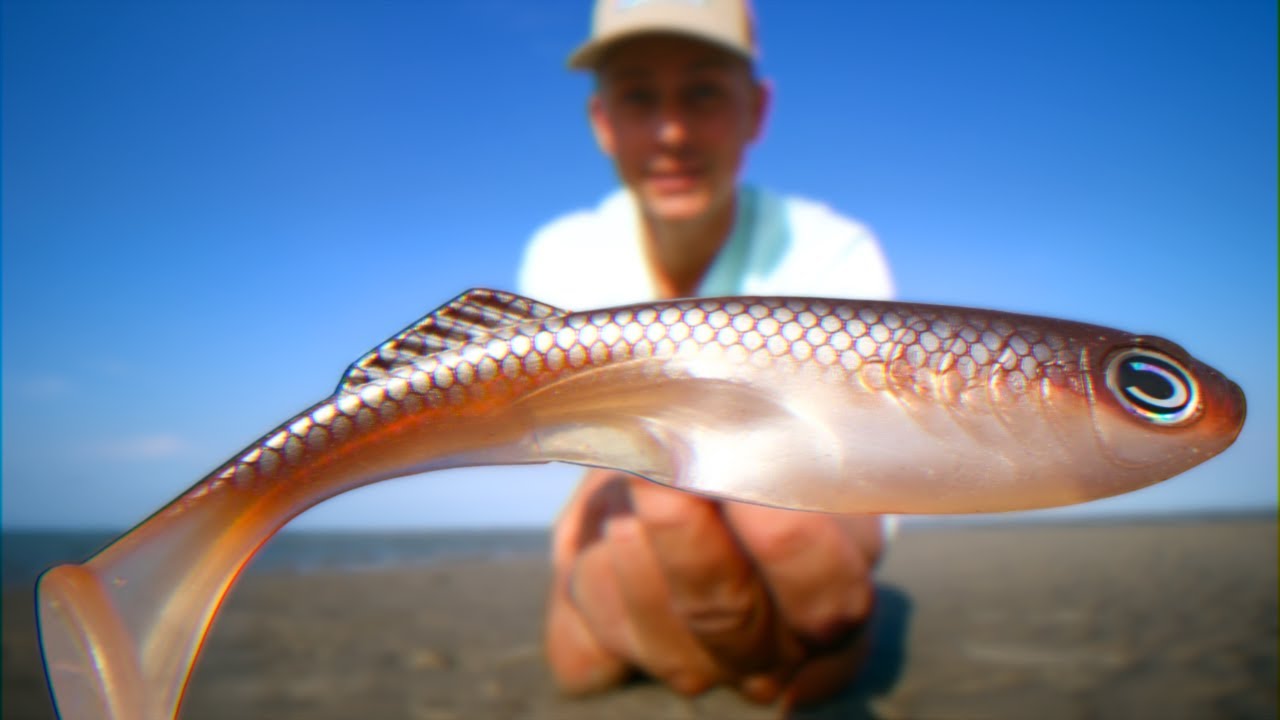 I used this MASSIVE lure in the Estuaries