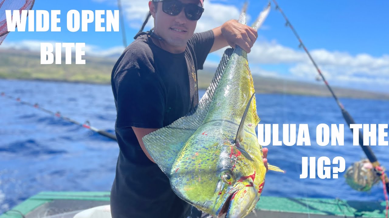Fishing KONA HAWAII MAHI MAHI, BIG RAINBOW RUNNER, Ulua, and UKU (trolling and vertical Jigging)