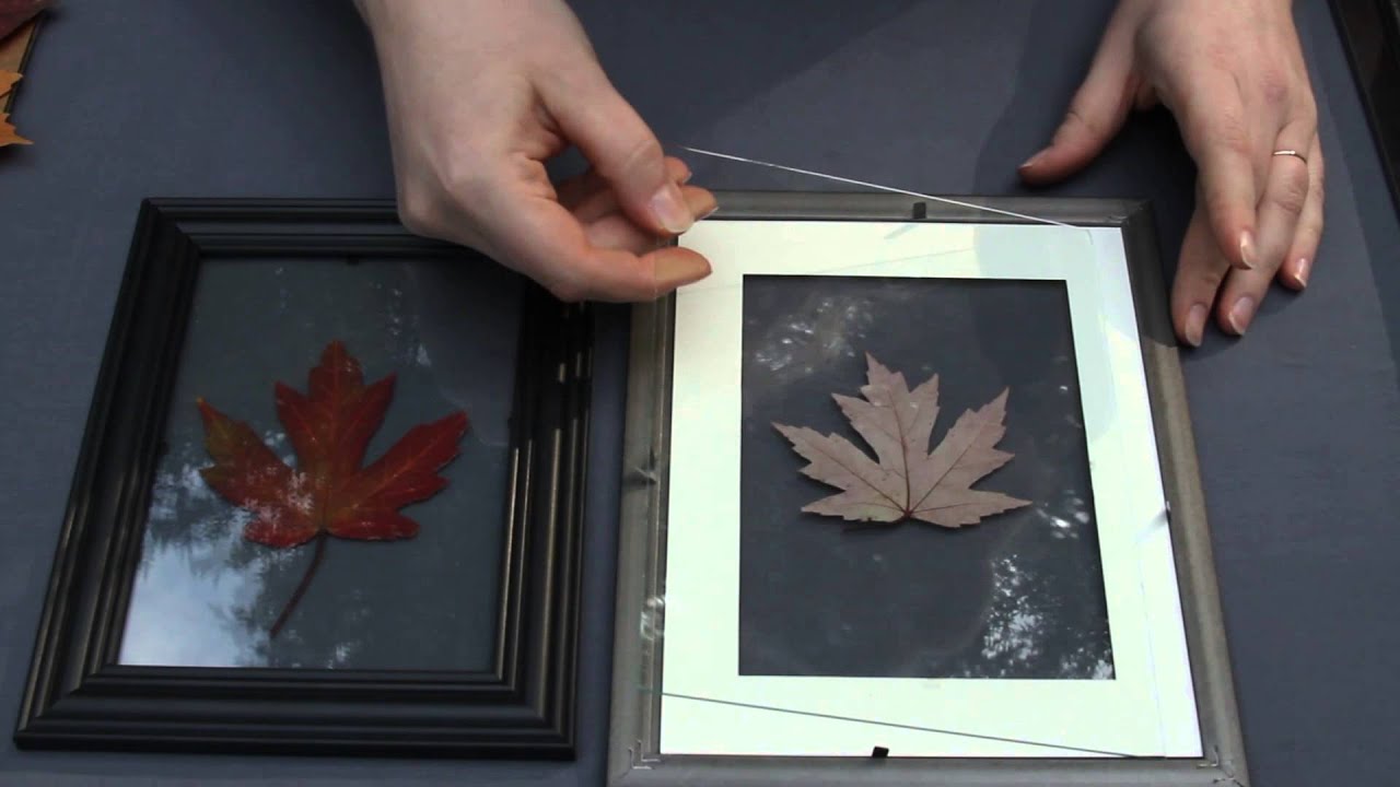 Floating Leaf Wall Art: Dollar Store Crafts DIY Tutorial