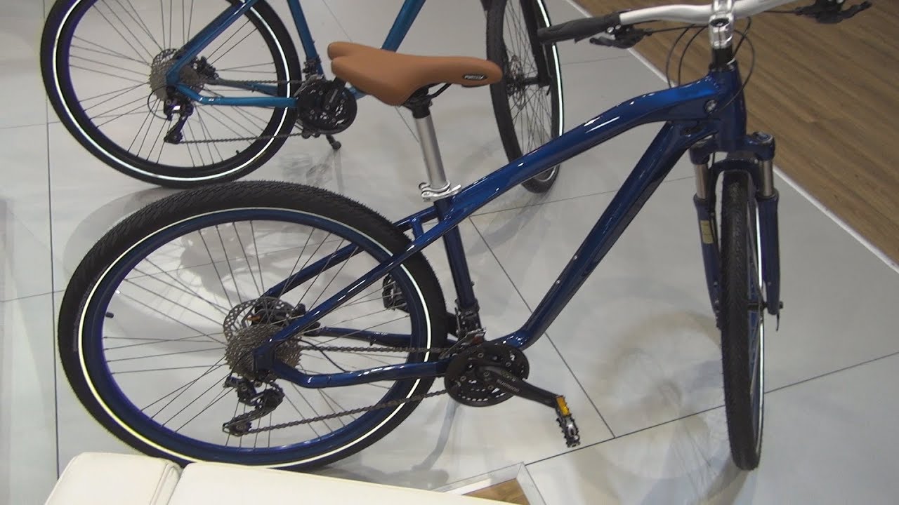 BMW Cruise Bike Blue (2018) Exterior and Interior