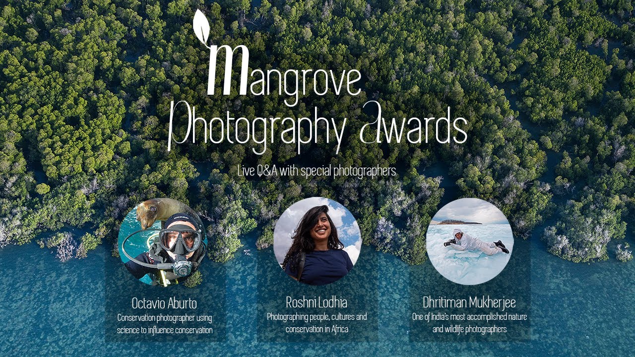 The UN Decade on Ecosystem Restoration // Mangrove Photography Awards 2021 // Q&A