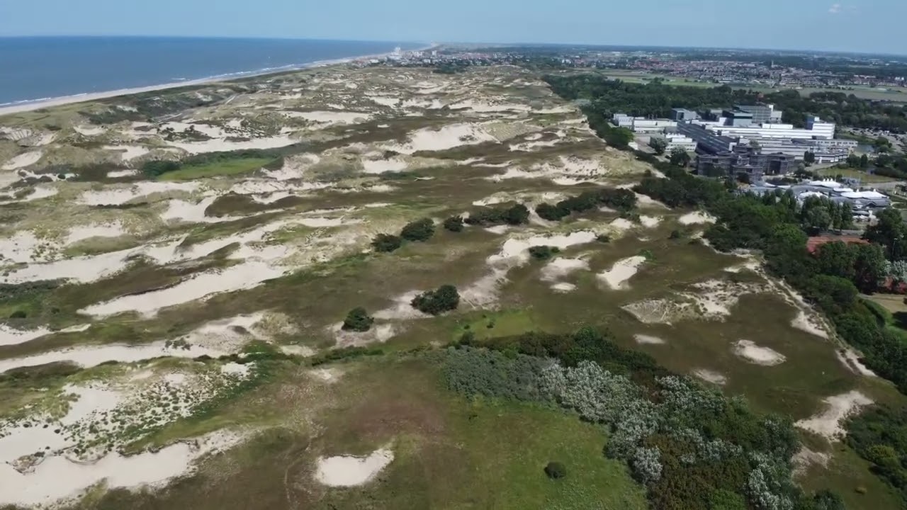 Katwijk aan zee 24/07/22 part 1