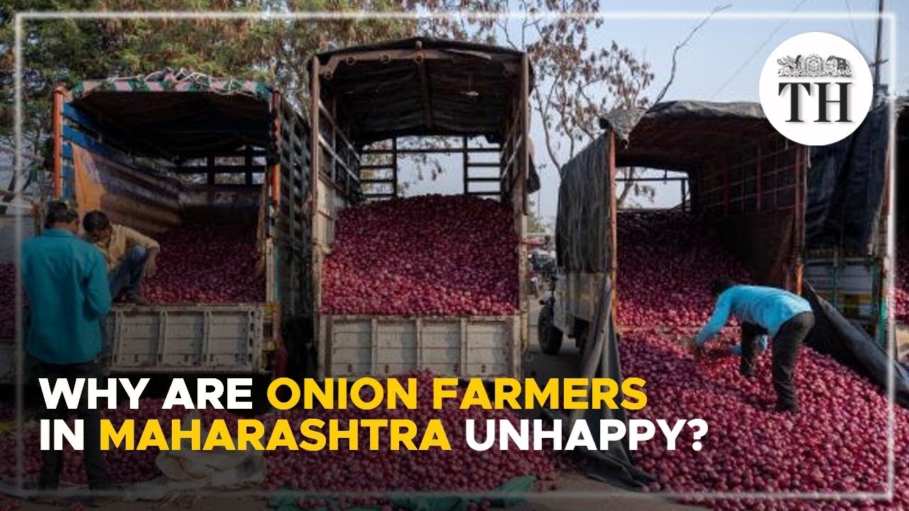 Why are onion farmers in Maharashtra unhappy? | The Hindu