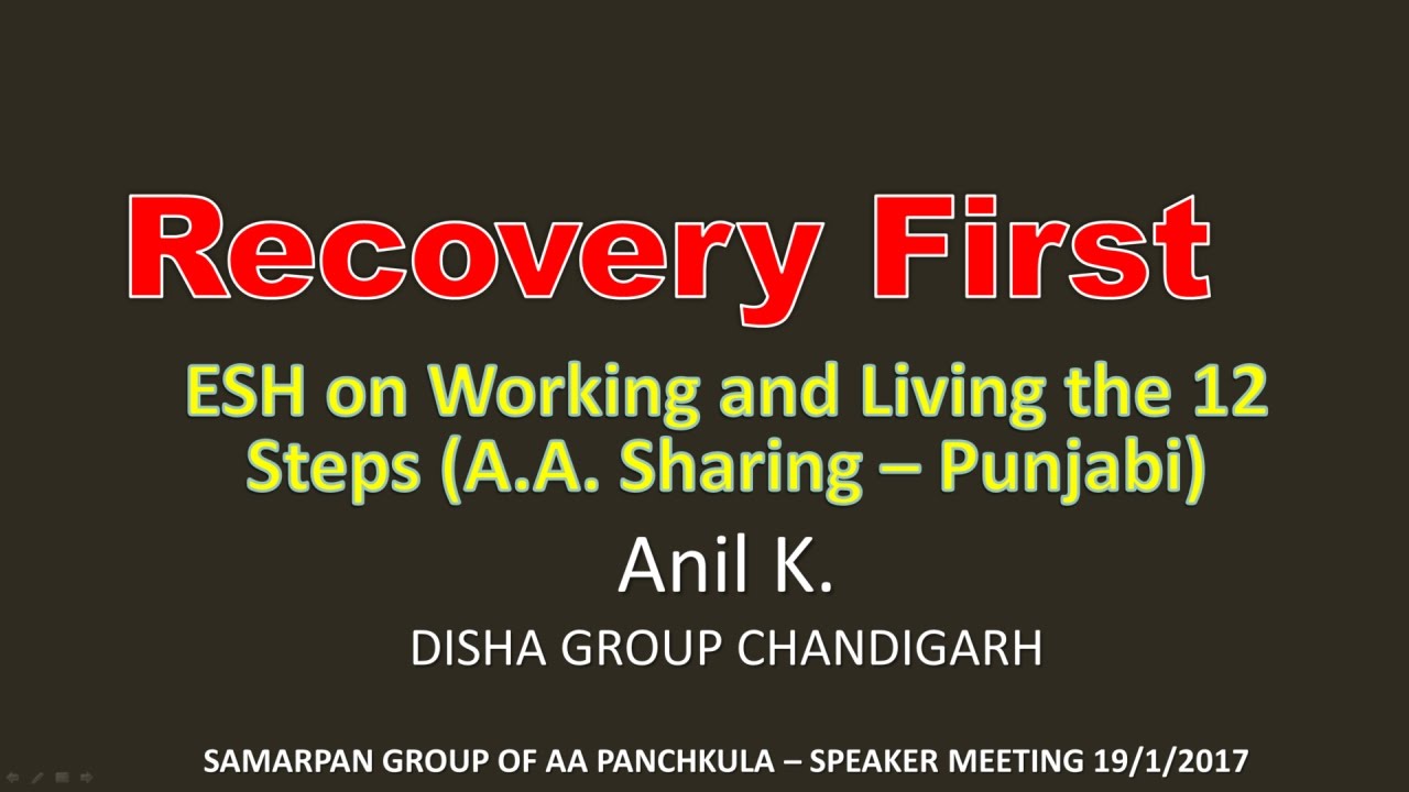 Anil K (Disha Group) Chandigarh  A.A. Speaker Sharing Punjabi - Living and Working the steps