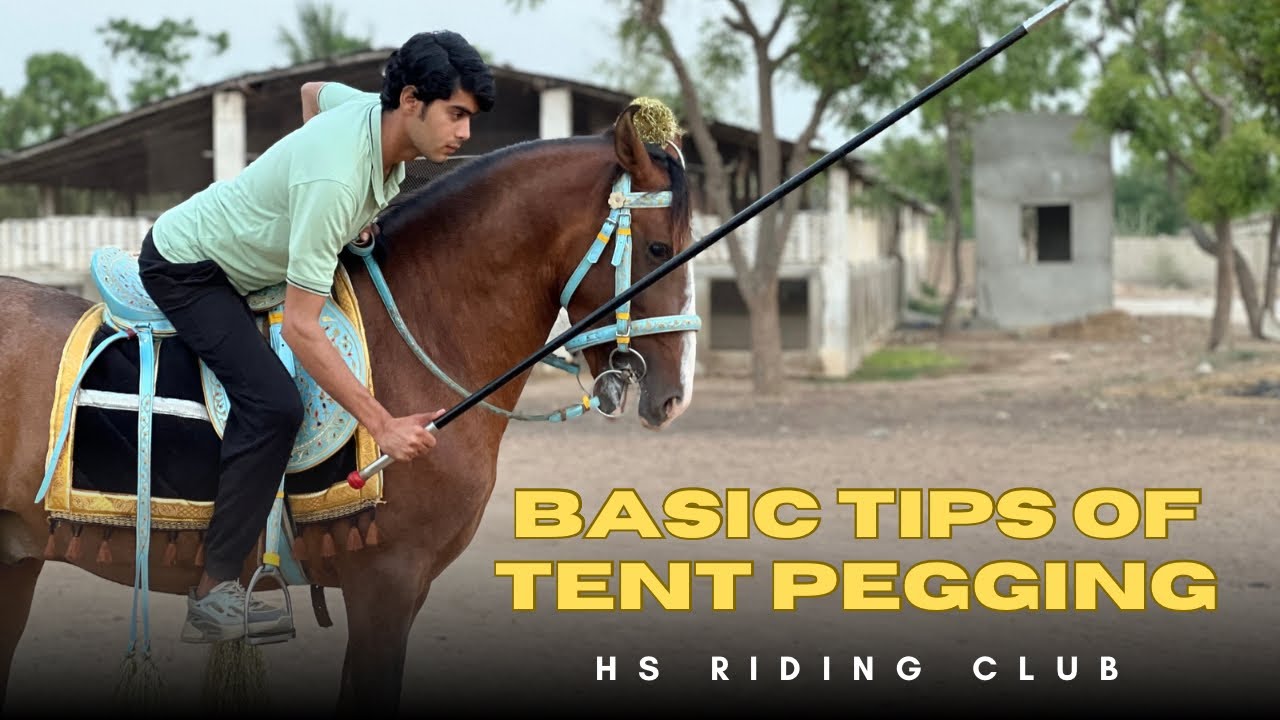Basic Tips Of Tent Pegging || Nezabazi kesy Start Karen 😩|| Horse Riding lesson with Hassan Bhatti