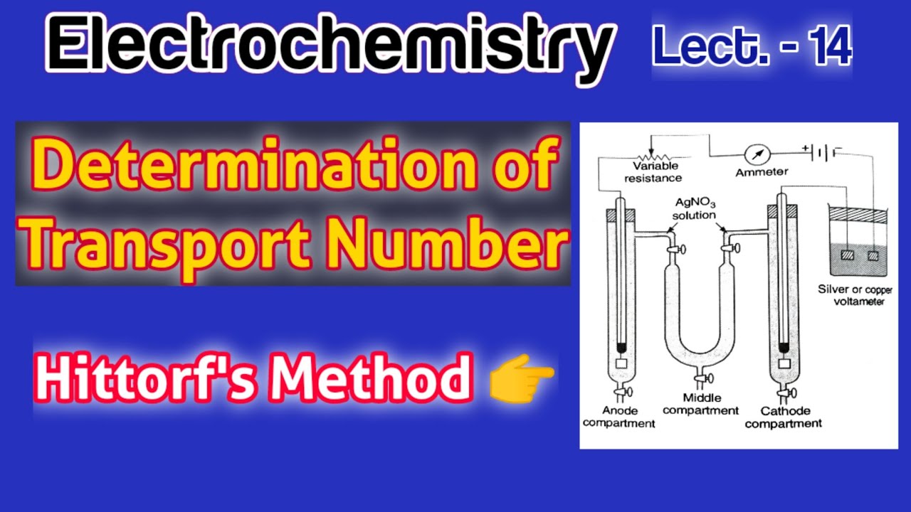 Electrochemistry (Lect.-14) | Determination of Transport Number by Hittorf's Method | #bsc2ndyear