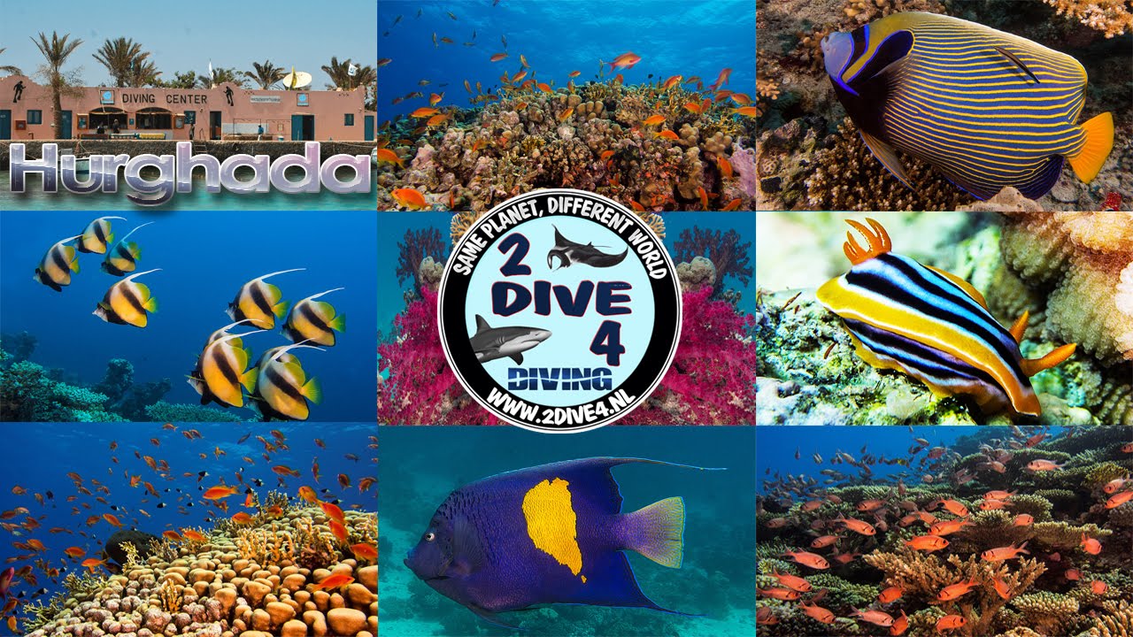 BrotherDive 2014 Scuba diving with 'Tauchen unter Freunden' Red Sea Hurghada Egypt (FULL HD)
