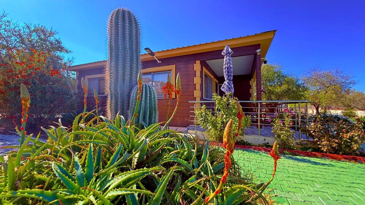 🌿 Girne / Karaağaç – Doğanın Kalbinde, Eşsiz Havasıyla Özel Müstakil Ev