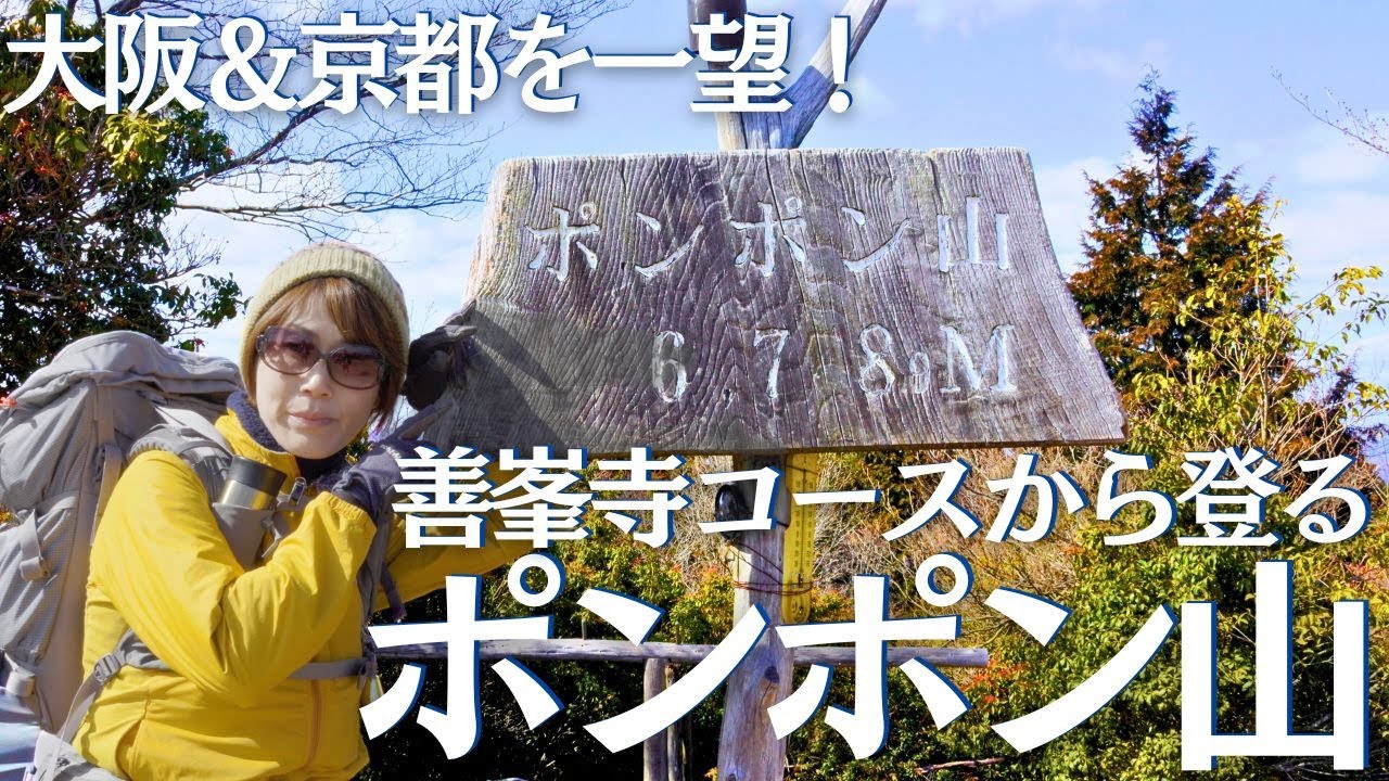 ポンポン山 王道の善峯寺コースから山頂を目指す福寿草 ヘタレ夫婦登山 Vol.120