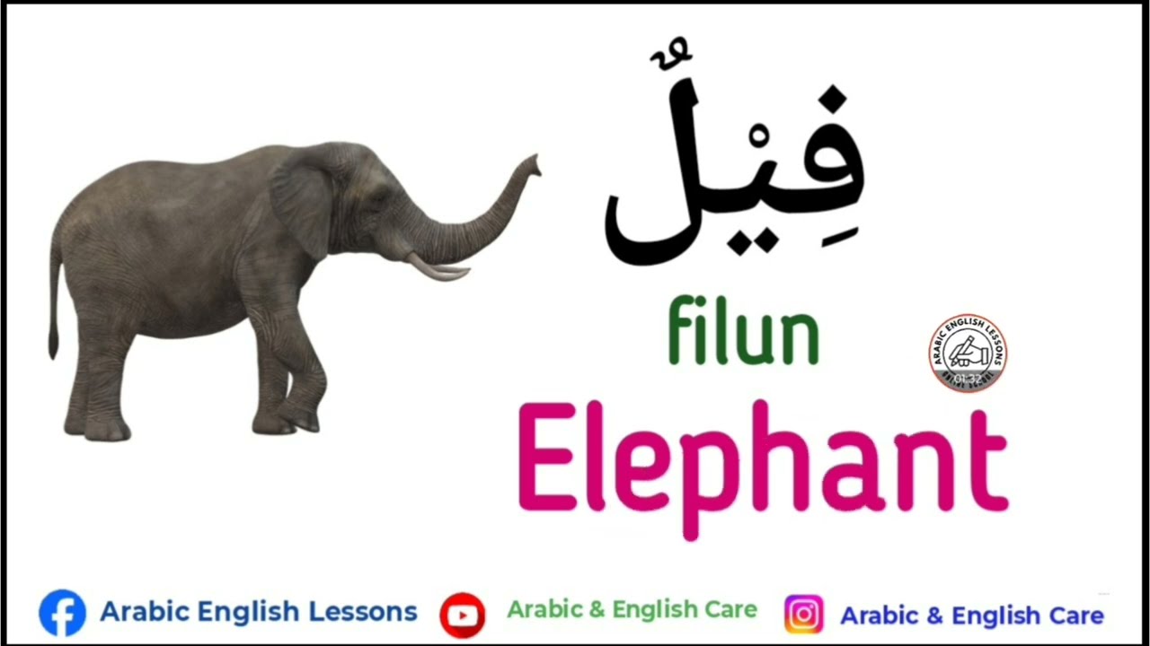 Animal names in Arabic and English -1