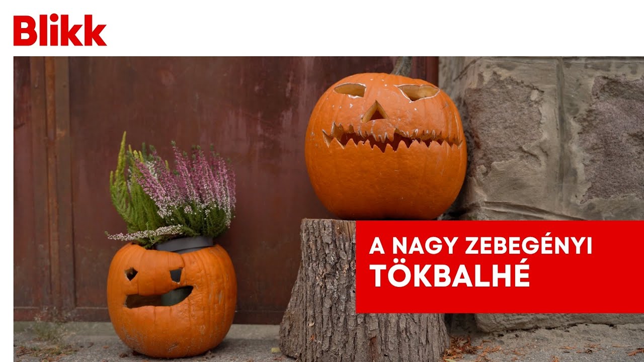 A nagy zebegényi tökbalhé! - betiltotta a Halloweent a polgármester?