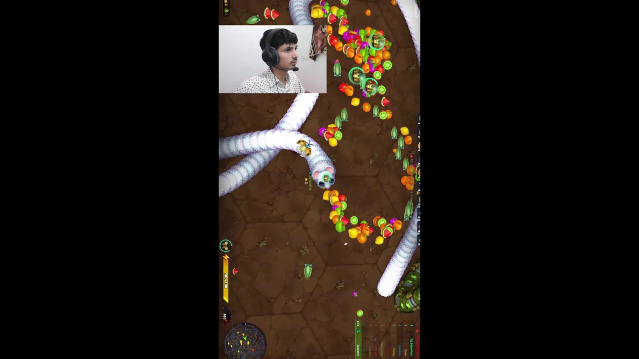 WORMATE.IO LIVE DAY 26 🔴