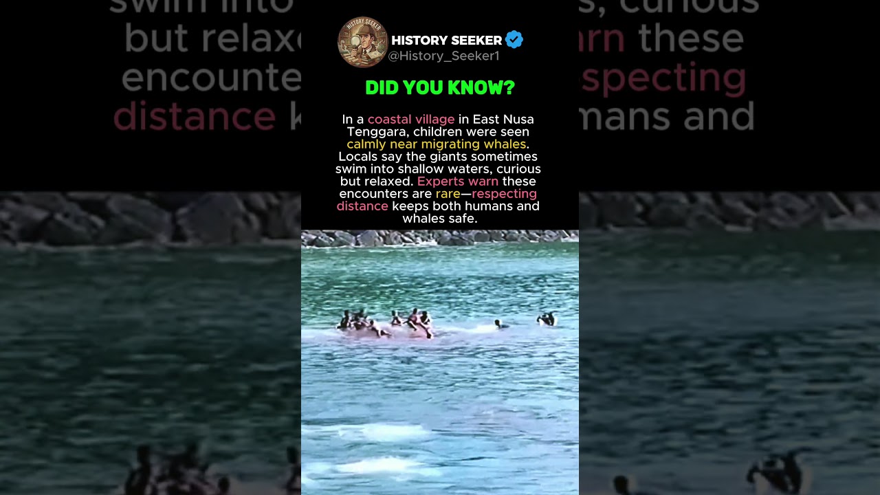 Unbelievable Connection With Whales