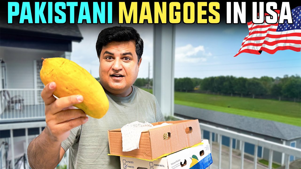 Finally Pakistani 🇵🇰 Mangoes🥭America Aa Gaye ( VERY EXPENSIVE 🔥)