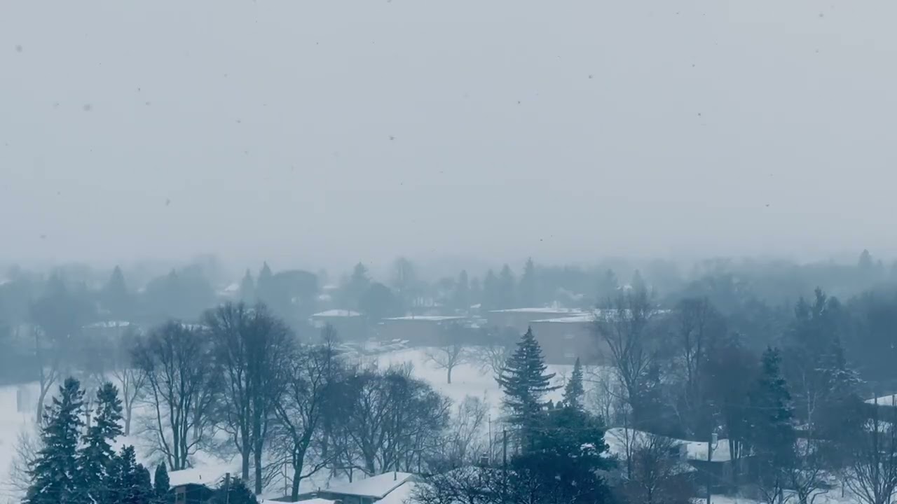 Relaxing Snowy Park View | Winter Snowfall Sounds for Stress Relief 1 Hour