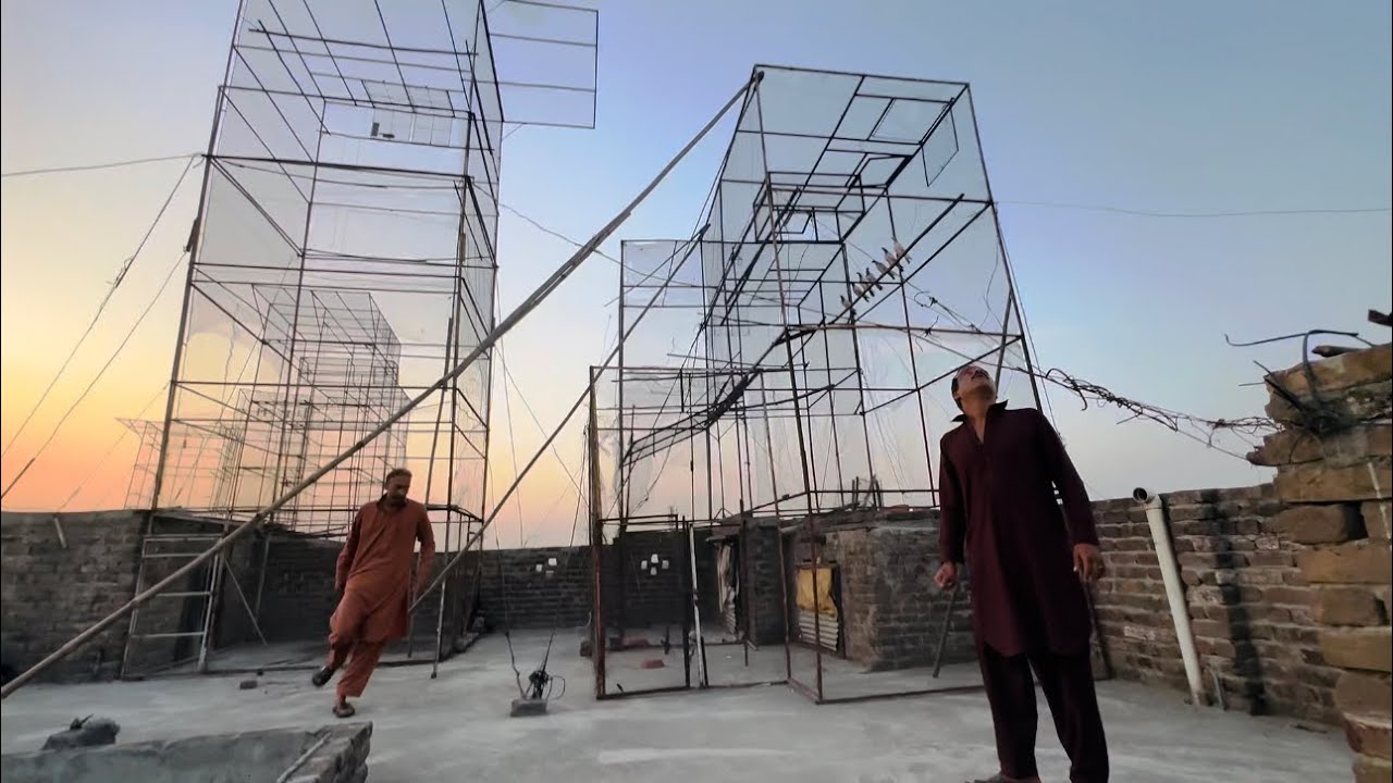 7 kabootar wali bazi 1 to 1 mukably | Dar pigeons club |