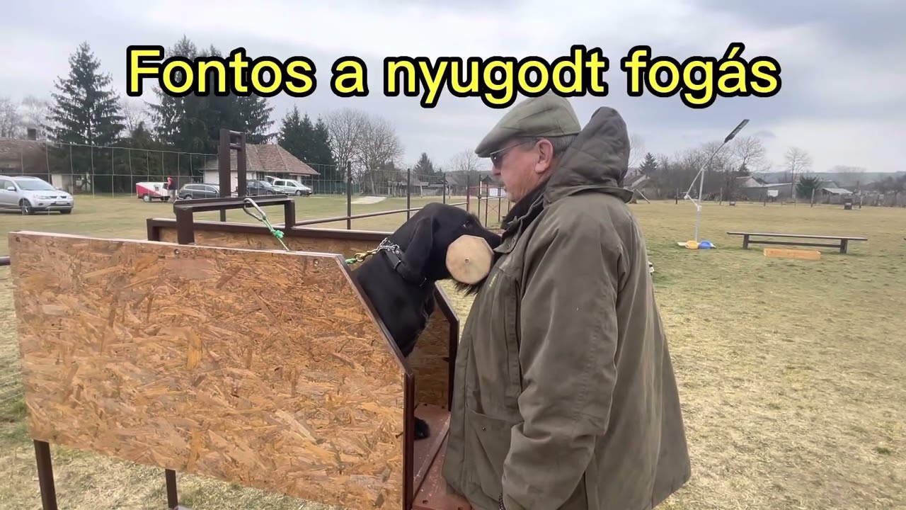 Kutyakiképzést segítő eszközök. Munka pad.