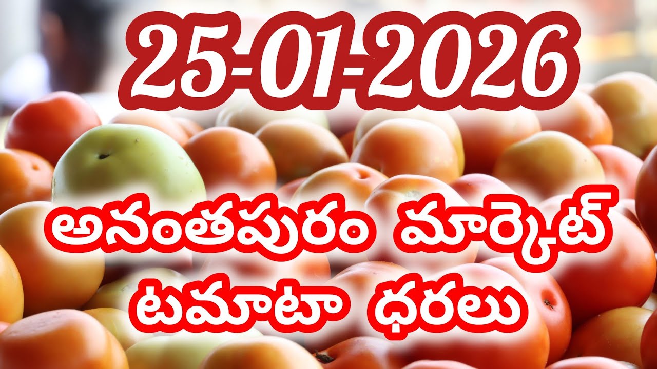 Anantapur tomato market rates/today tomato market rates #Anantapur #agriculture #tomato rate #tomato