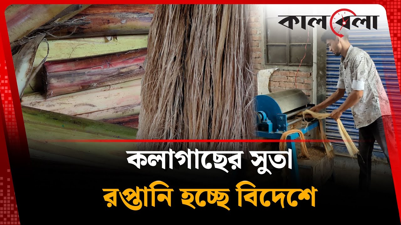ফেলনা কলাগাছ দিয়েই রমরমা ব্যবসা! | Gazipur Banana Tree | Yarn making | kalbela
